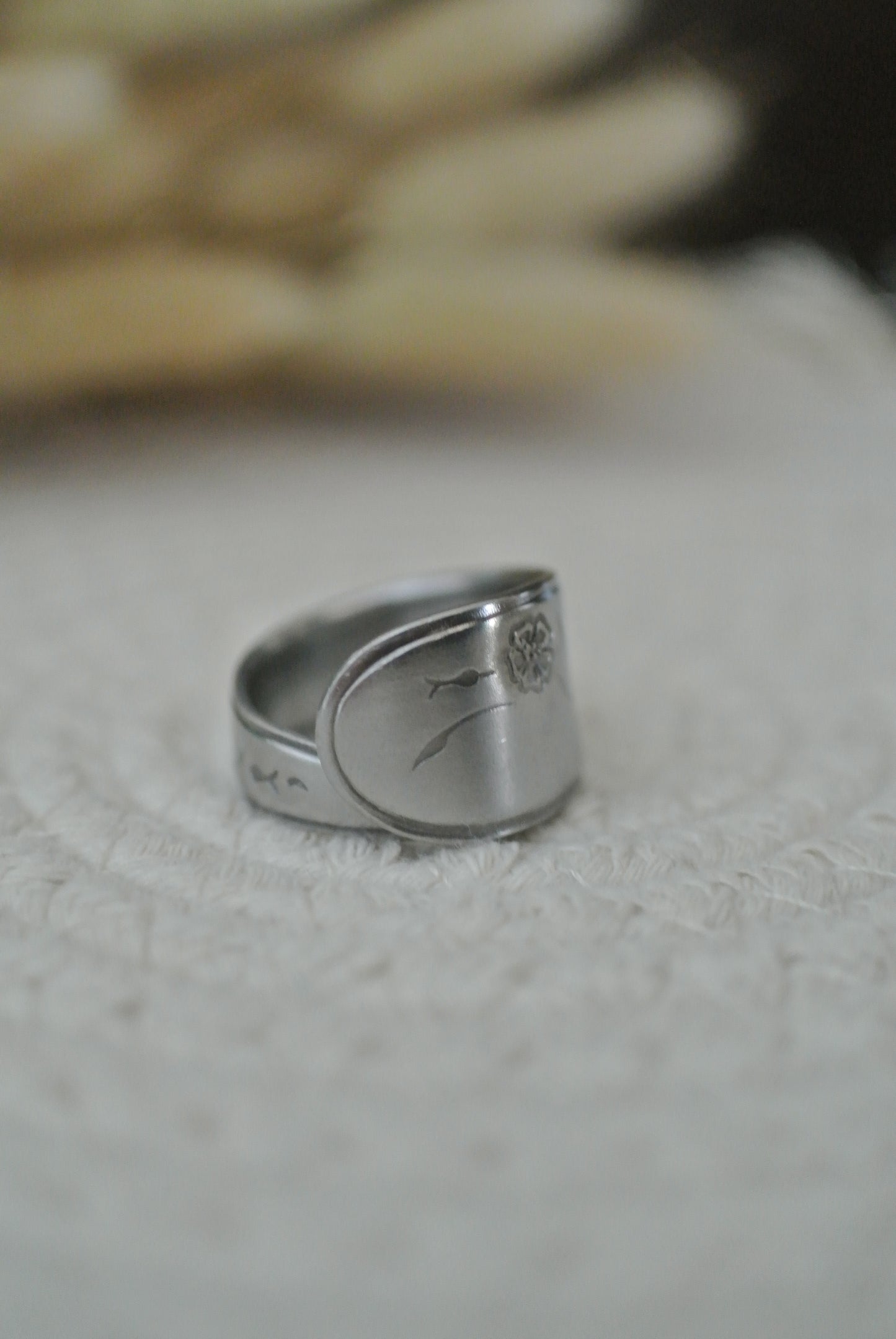 Stainless Spoon Ring (9)