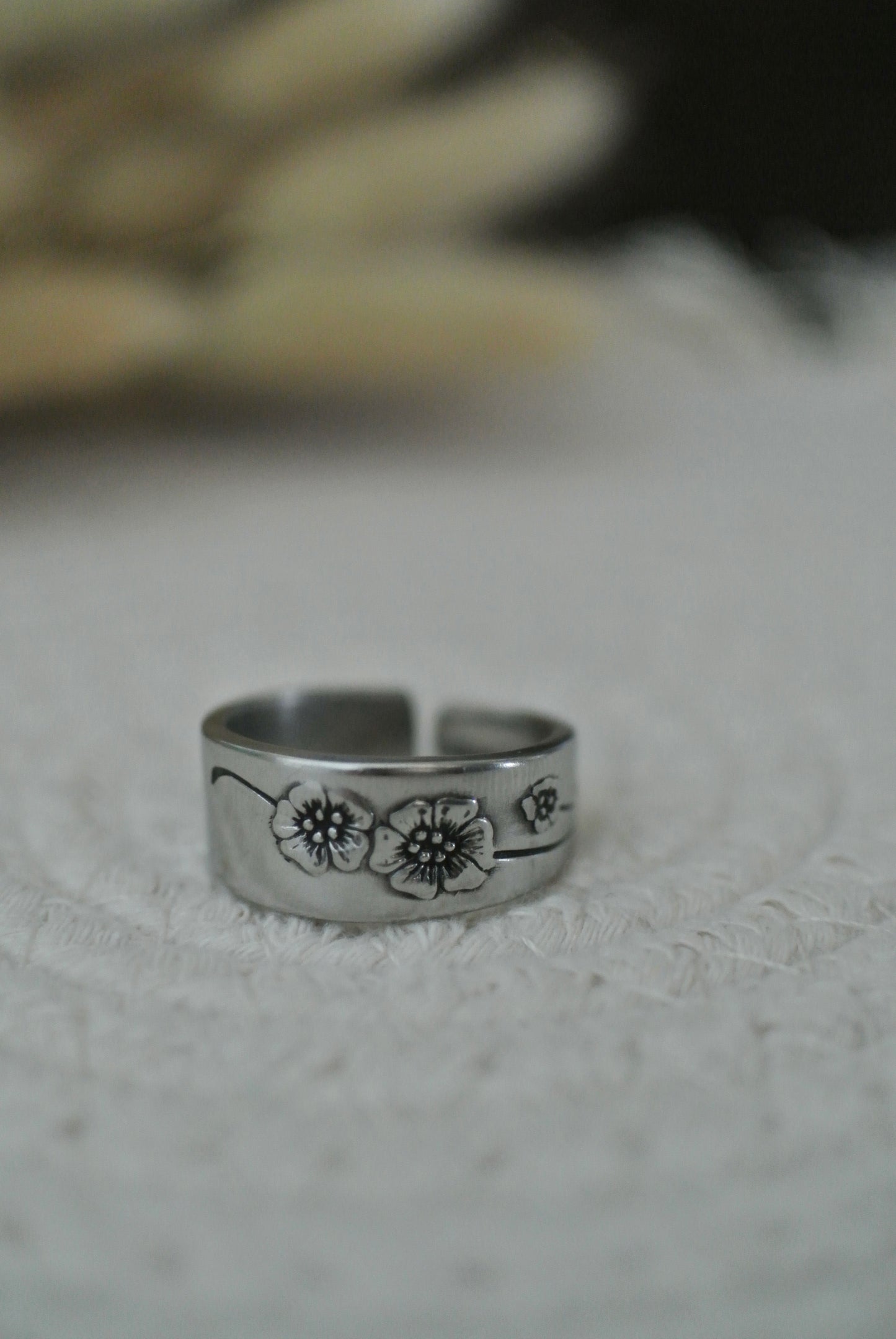 Stainless Spoon Ring (10.5)