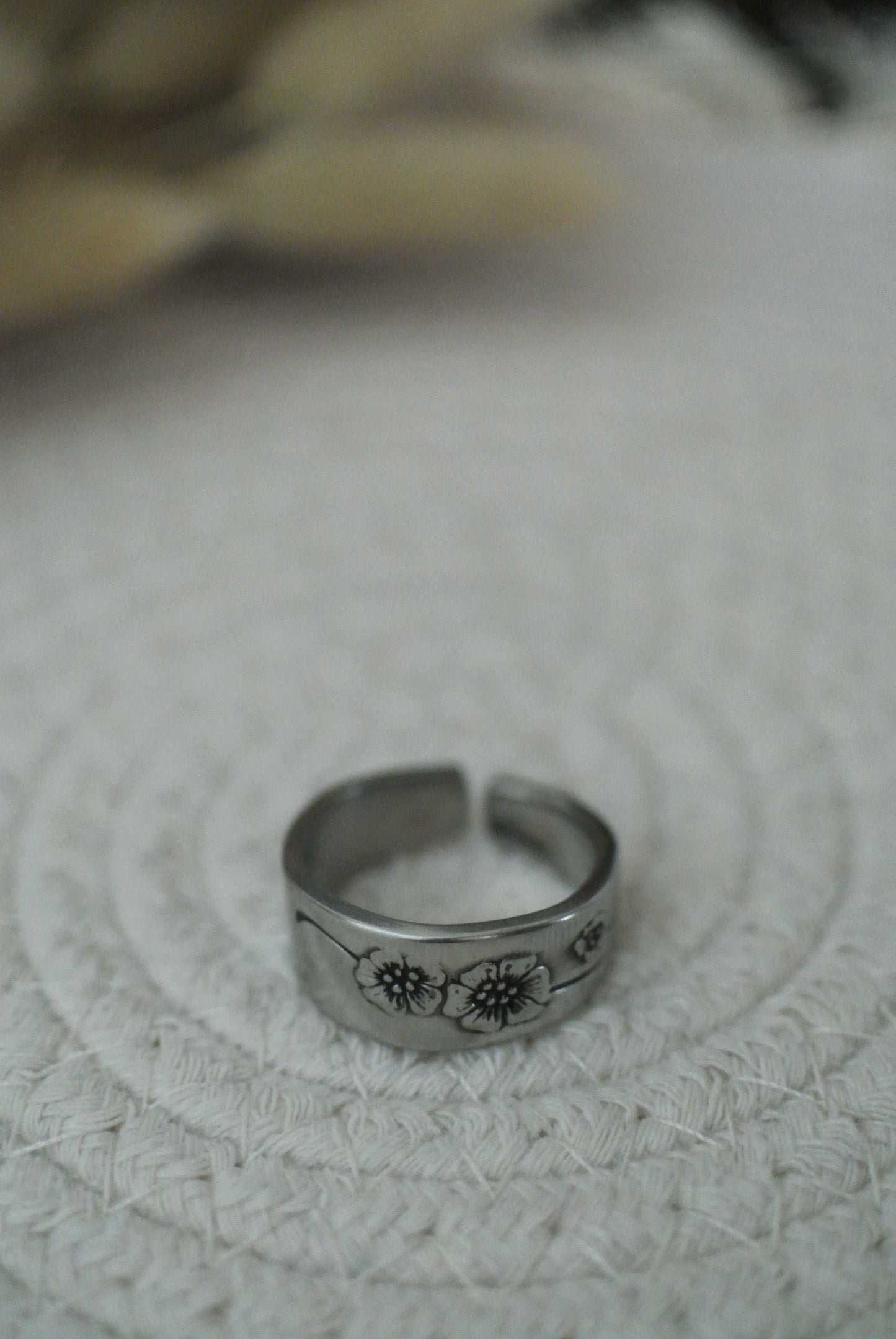 Stainless Spoon Ring (10.5)