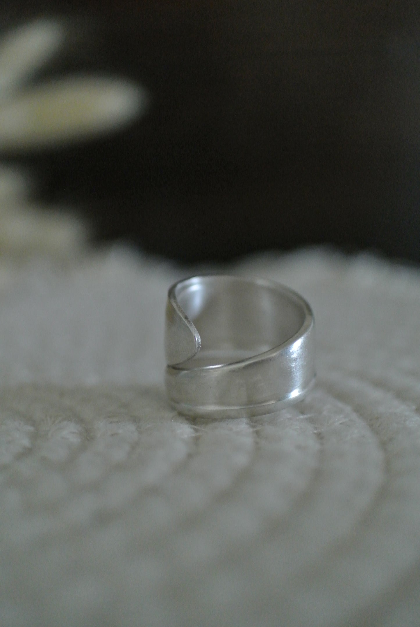 Silver Plated Spoon Ring (9)